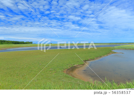 【北海道】夏のサロマ湖キムアネップ崎 56358537