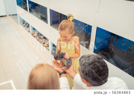 Daughter touching rabbit while coming to pet shop with parents Daughter touching rabbit while coming to pet shop with parents 56364863