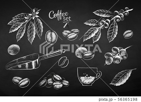 Chalk drawn illustration set of coffee items 56365198