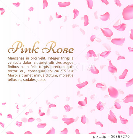 Pink rose or sakura falling petals. Elegant romantic vector background Pink rose or sakura falling petals. Elegant romantic vector background 56367270