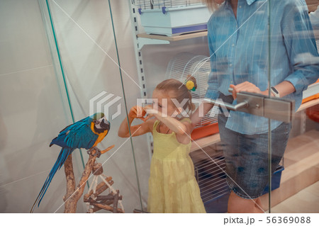 Cute girl wearing yellow dress feeling amazed looking at parrot 56369088