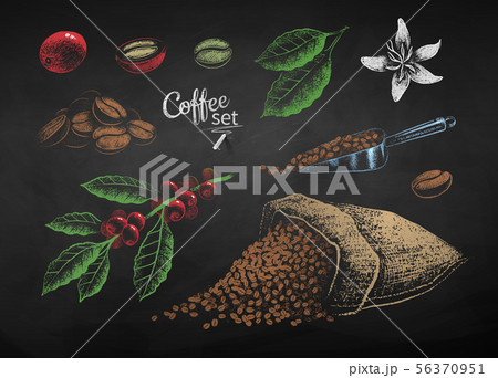 Chalk drawn set of of coffee beans and berries 56370951