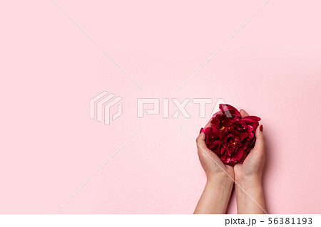 Woman hold peony flower on pink background. Flat 56381193