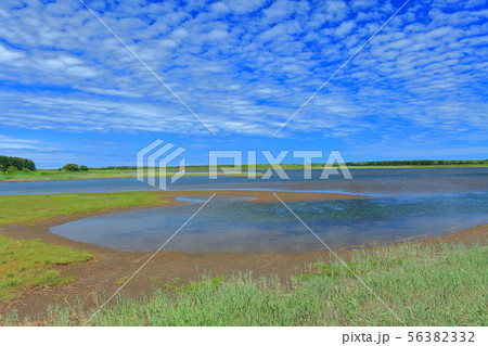 【北海道】夏のサロマ湖 56382332