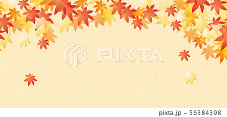紅葉の背景素材 56384398