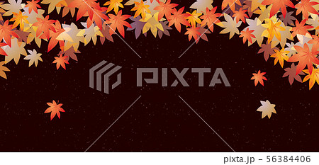 紅葉の背景素材 紅葉の背景素材 56384406