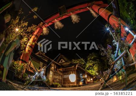 愛宕古道街道灯し 化野念仏寺千灯供養 愛宕古道街道灯し 化野念仏寺千灯供養 56385221