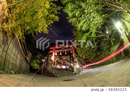 愛宕古道街道灯し 化野念仏寺千灯供養 56385225