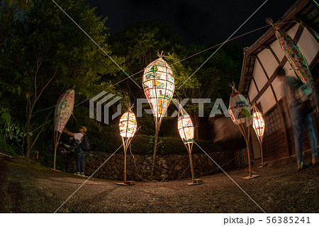 愛宕古道街道灯し 化野念仏寺千灯供養 愛宕古道街道灯し 化野念仏寺千灯供養 56385241
