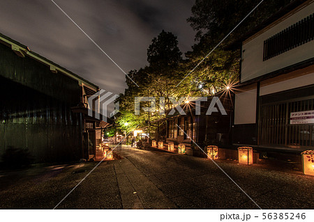愛宕古道街道灯し 化野念仏寺千灯供養 56385246