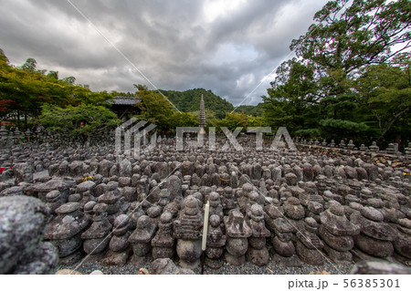 愛宕古道街道灯し 化野念仏寺千灯供養 愛宕古道街道灯し 化野念仏寺千灯供養 56385301