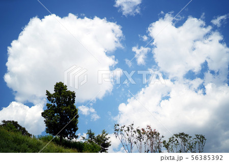 空 雲 青い空 56385392