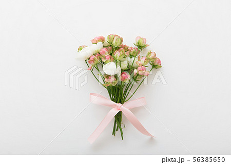 ピンクのミニバラ 56385650