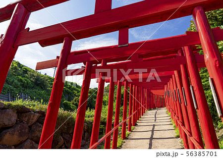 [山口県]元乃隅神社 56385701