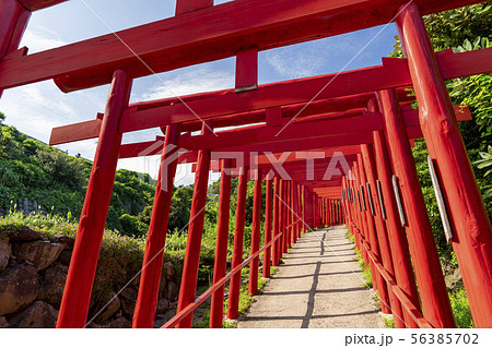 [山口県]元乃隅神社 56385702