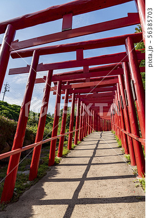 [山口県]元乃隅神社 56385703