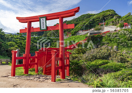 [山口県]元乃隅神社 56385705