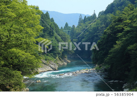 樽見鉄道 樽見線 ・ 鍋原駅  近くの金山橋からの「根尾川と奥に橋梁」   【 岐阜県本巣市】 56385904