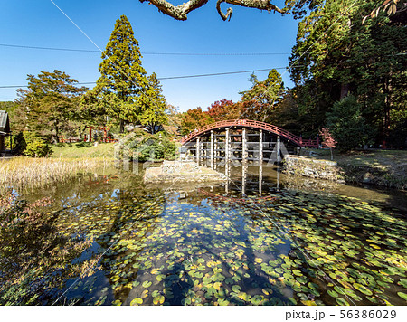 丹生都比売神社の紅葉 56386029