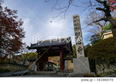 観心寺の紅葉 観心寺の紅葉 56386079