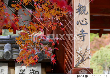 観心寺の紅葉 観心寺の紅葉 56386083