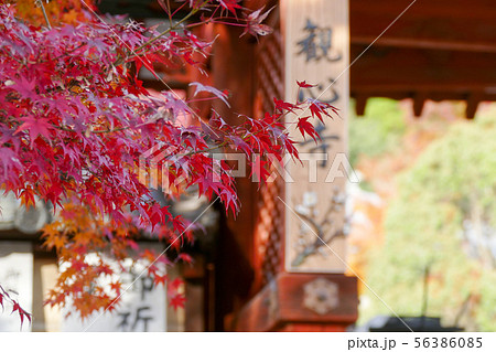 観心寺の紅葉の写真素材