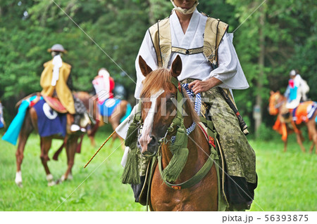 相馬野馬追いの馬 56393875