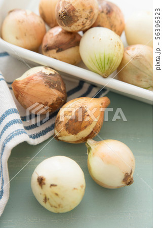 ペコロス（小玉ねぎ） 56396323