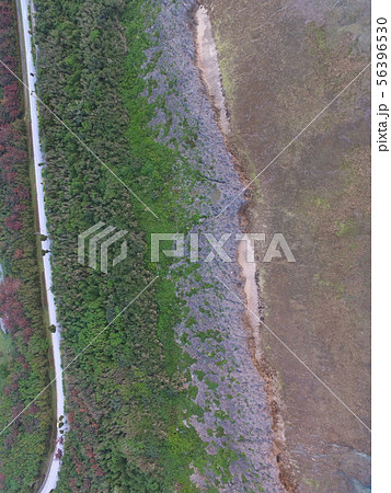 海岸〜ドローンで空撮(平和創造の森公園 付近/沖縄県糸満市字山城) 海岸〜ドローンで空撮(平和創造の森公園 付近/沖縄県糸満市字山城) 56396530