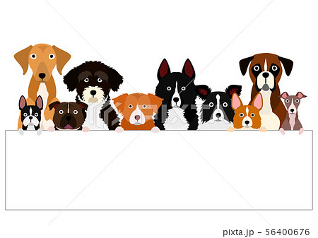 ボードを持つ犬のグループ 56400676