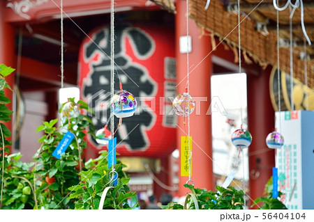 浅草ホオズキ市 56404104