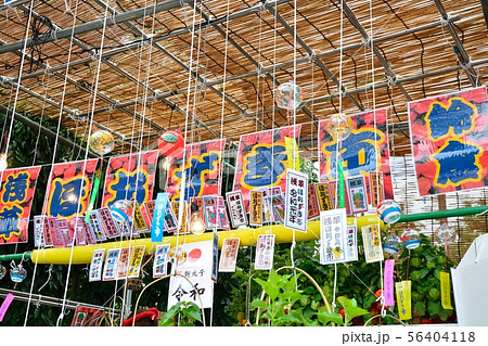 浅草ホオズキ市 浅草ホオズキ市 56404118