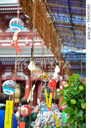 浅草ホオズキ市 浅草ホオズキ市 56404160