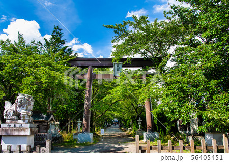山梨県河口湖町 冨士御室浅間神社 大鳥居 山梨県河口湖町 冨士御室浅間神社 大鳥居 56405451