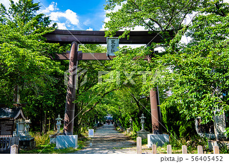 山梨県河口湖町 冨士御室浅間神社 大鳥居 山梨県河口湖町 冨士御室浅間神社 大鳥居 56405452