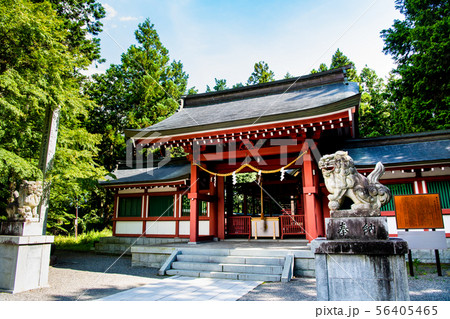山梨県河口湖町 冨士御室浅間神社 本宮 56405465