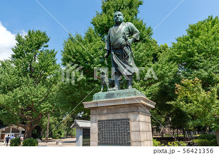 東京都上野公園にある西郷隆盛像 東京都上野公園にある西郷隆盛像 56421356