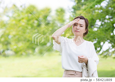 新緑の中のビジネスウーマン 56421809