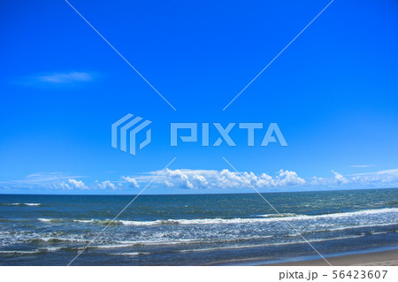 九十九里海岸白子町中里海水浴場付近 九十九里海岸白子町中里海水浴場付近 56423607