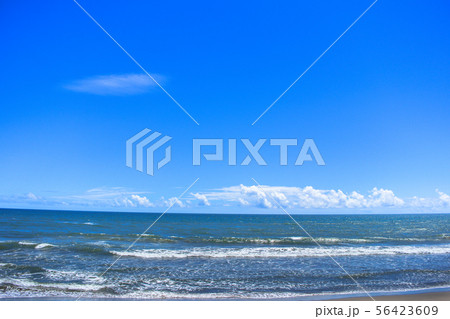 九十九里海岸白子町中里海水浴場付近 九十九里海岸白子町中里海水浴場付近 56423609