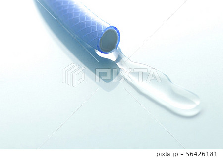 ただのホース ただのホース 56426181