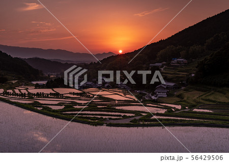 千早赤阪村 下赤阪の棚田の夕景 千早赤阪村 下赤阪の棚田の夕景 56429506