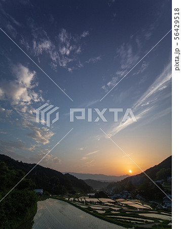 千早赤阪村 下赤阪の棚田の夕景 千早赤阪村 下赤阪の棚田の夕景 56429518