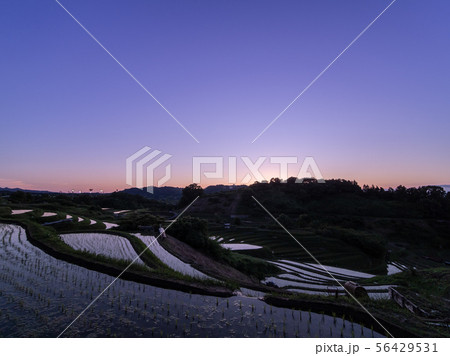 千早赤阪村 下赤阪の棚田の夕景 千早赤阪村 下赤阪の棚田の夕景 56429531
