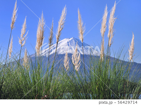 河口湖畔からの風景-777055 56429714