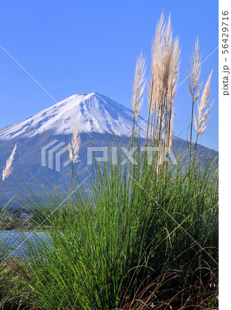 河口湖畔からの風景-777056 河口湖畔からの風景-777056 56429716