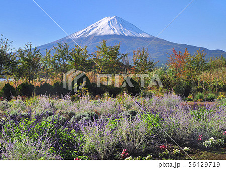 大石公園からの風景-777065 56429719