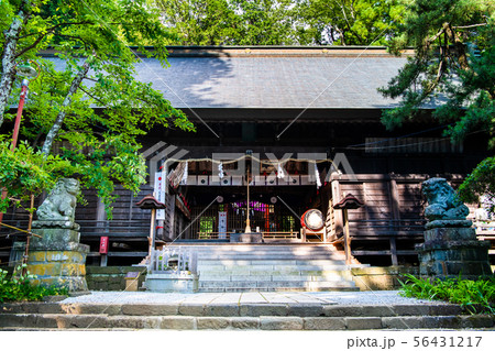 山梨県河口湖町 河口浅間神社 拝殿 山梨県河口湖町 河口浅間神社 拝殿 56431217