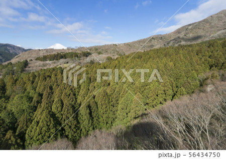 箱根と富士 56434750