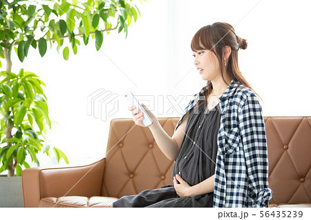 マタニティ 56435239